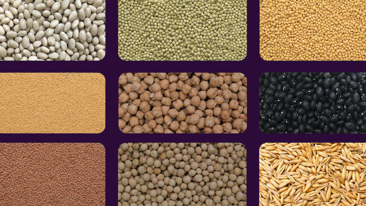 Selection of Grains and Legumes