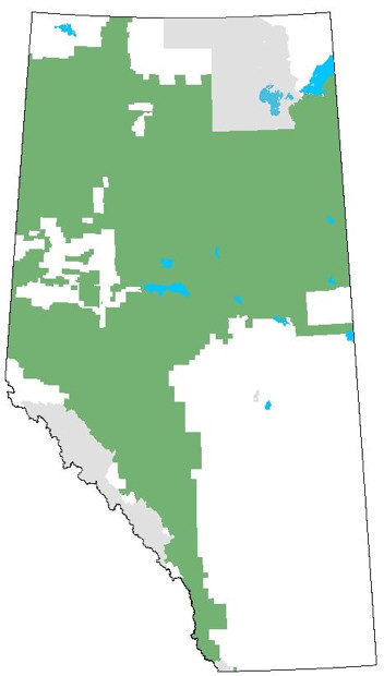 Image of Alberta - Phase 3: Forest Inventory