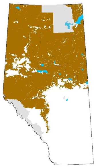 Image of Alberta - Phase 1: Broad Scale Forest Inventory