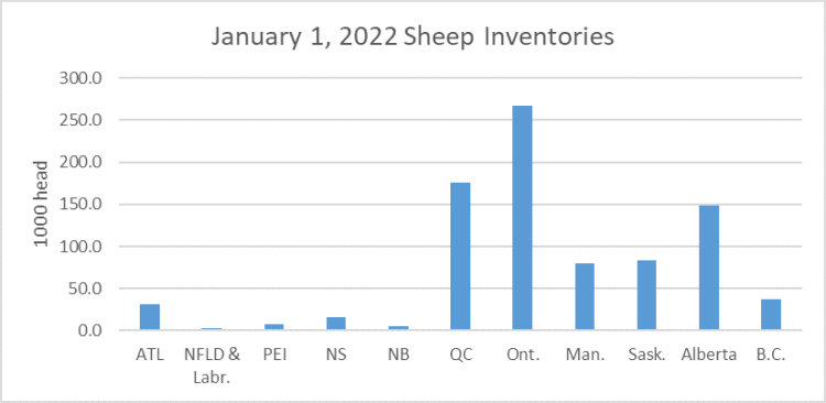 Image of January 1, 2022 Sheep Inventories
