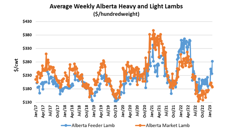 Line graph: Average Weekly Alberta Heavy and Light Lambs