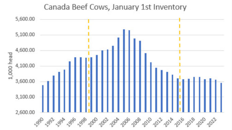 Canada Beef Cows, January 1st Inventory - blue bar graph