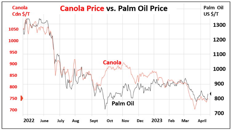 Line graph showing Canola Price vs. Palm Oil Price