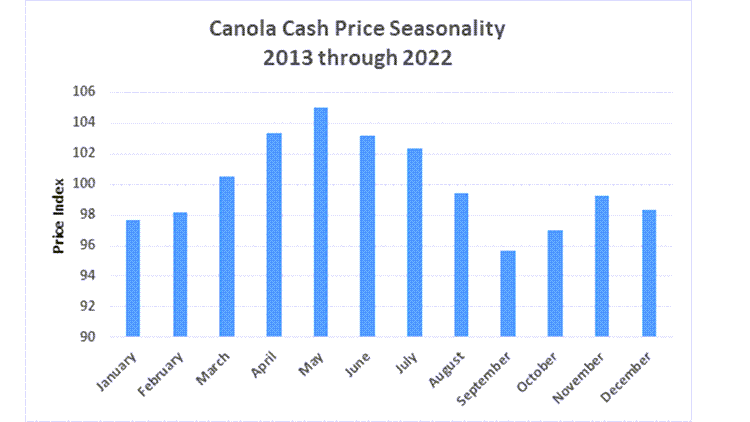 Graph with blue bars showing canola cash price seasonality 2013 through 2022