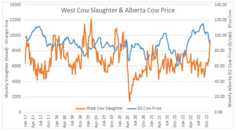 Slaughter and cow price graph