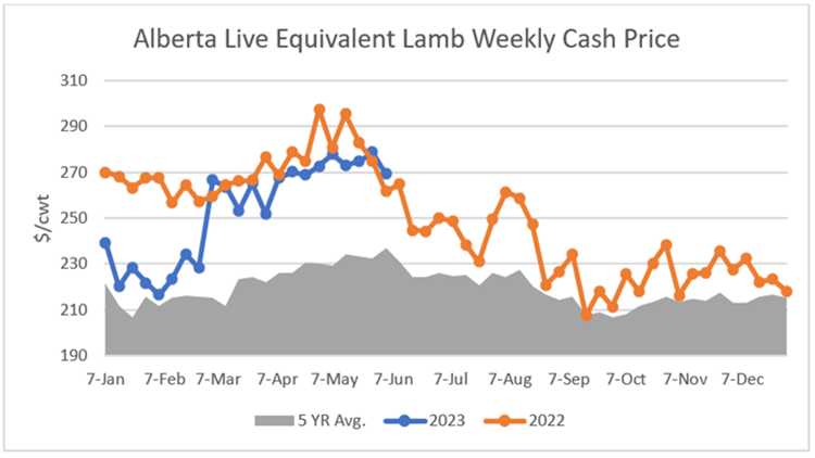 Alberta Live Equivalent Lamb Weekly Cash Price line graph