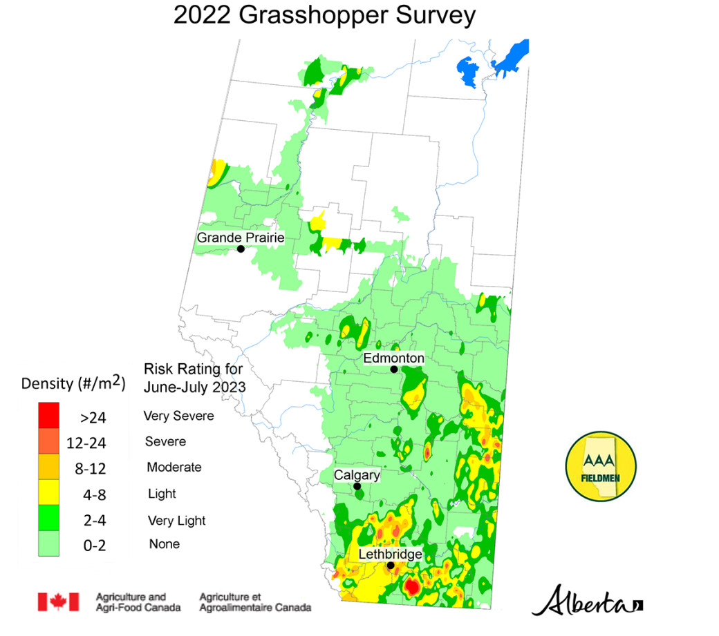 Image of a map of Alberta showing the 2022 Grasshopper Forecast