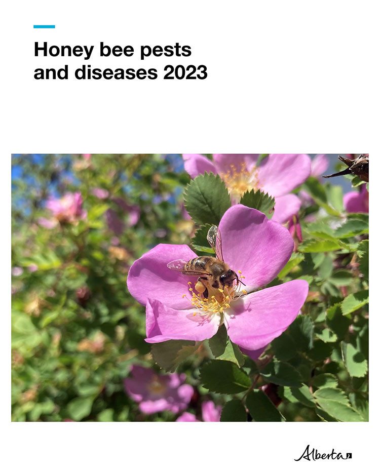 Honey bee pests and diseases 2023 guide cover - pink flowers
