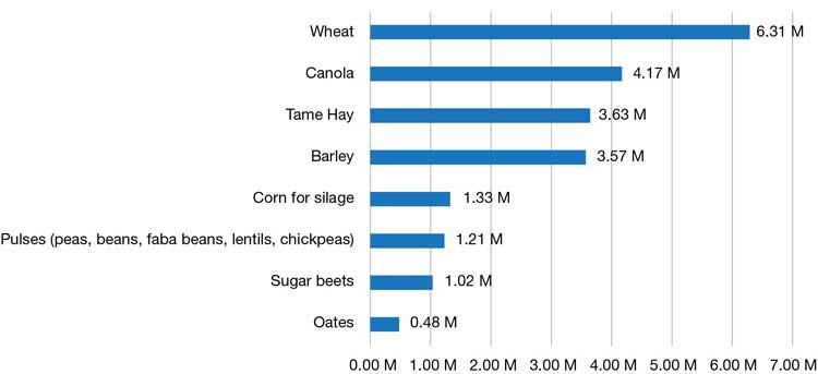 Image of a bar graph of the top crop production chart