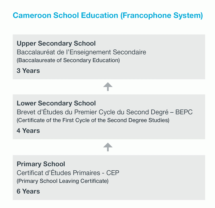 Flow chart of Cameroon's francophone school system