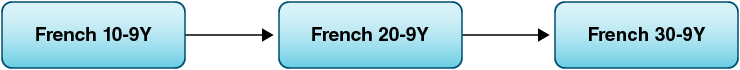 French 10-9Y, 20-9Y, 30-9Y course sequence.