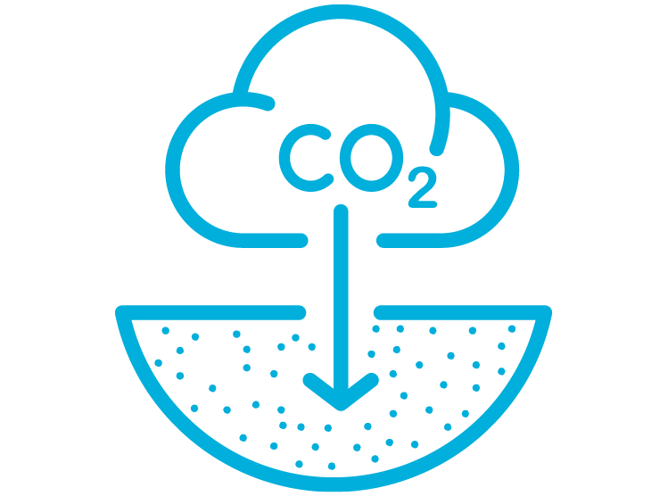 Enable carbon capture, utilization and storage (CCUS) icon