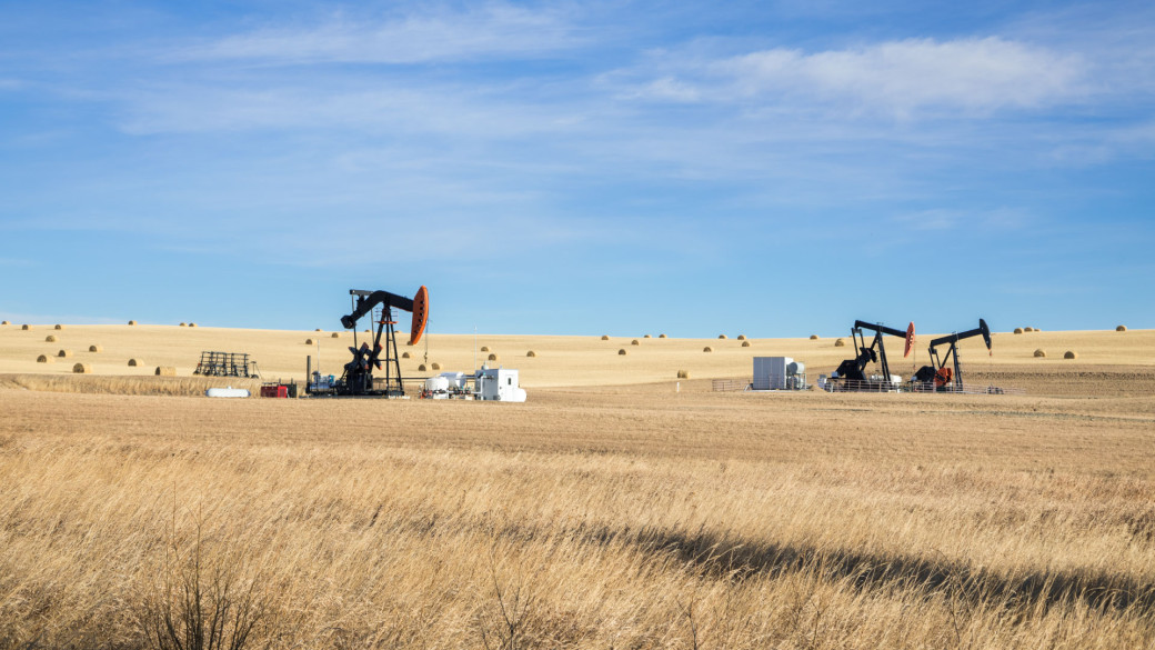 Oil pumps in a field