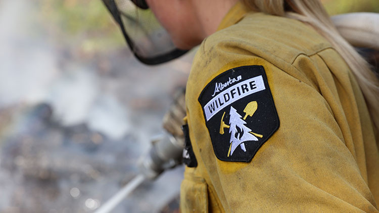 Firefighter spraying a hose, wearing a yellow uniform with a black arm patch that says Alberta Wildfire and has an image of a pine tree, shovel and axe