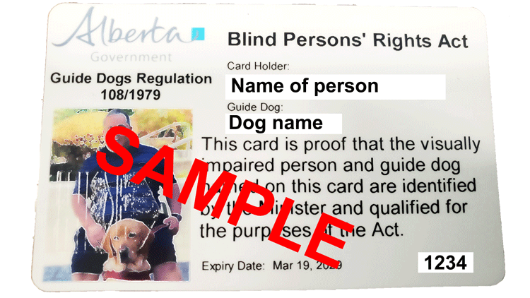 Example of a Service Dog Identification card