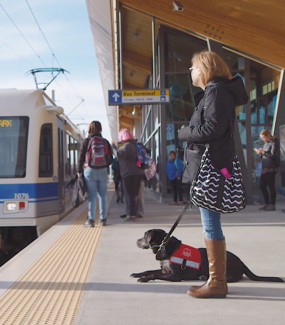 Picture of a woman with a service dog beside her waiting for a train.