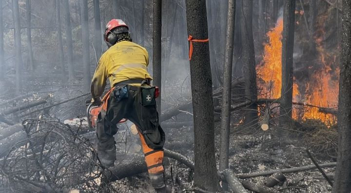 A firefighter working near wildfire LWF090