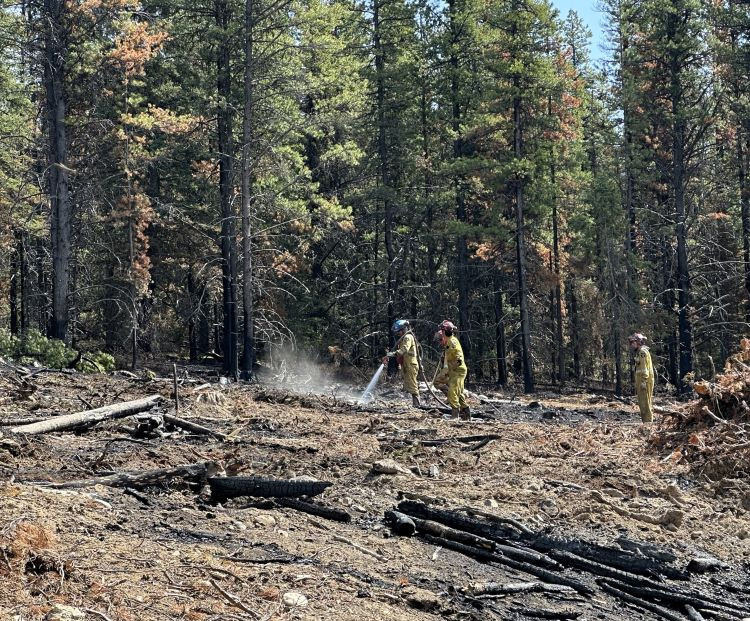 Firefighters are spraying water on the ground. Some trees are orange and some are green in the background. 
