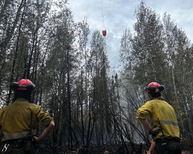 A heli bucket hovers over tree tops as firefighters in yellow look up at it.