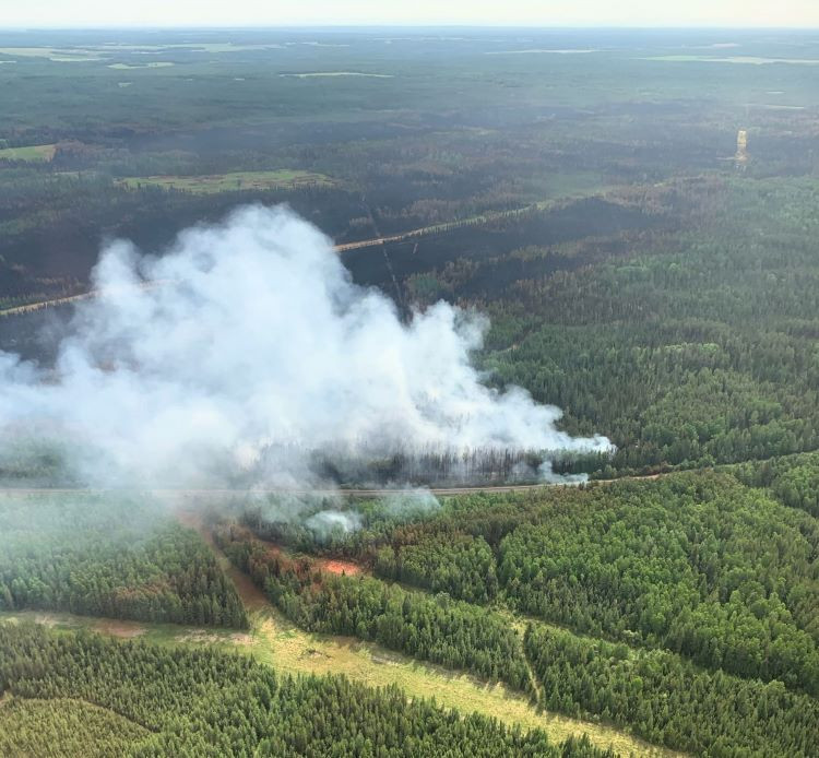 Smoke billows from the green forest. 