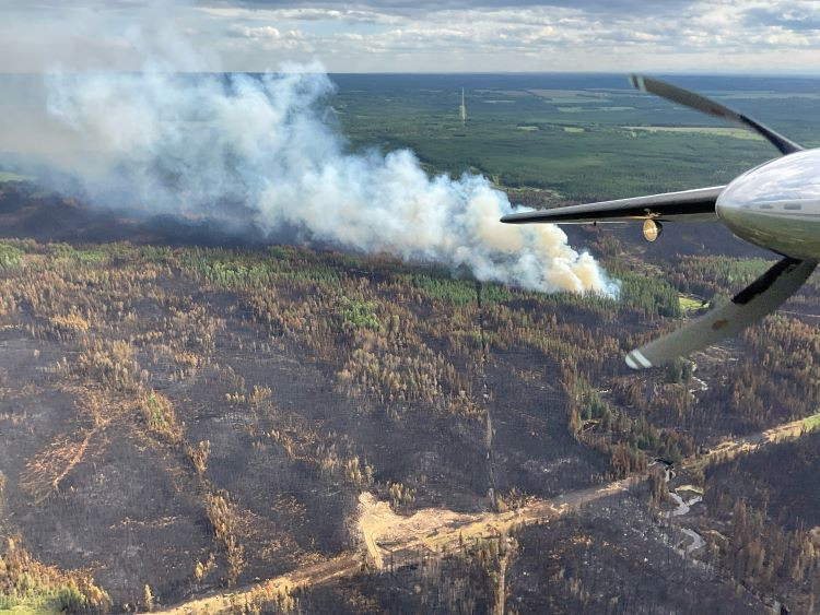 Plume of smoke over burnt trees and a airplane propeller on the right side of the photo.