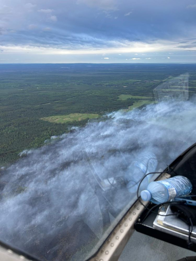 Low laying smoke over the wildfire.