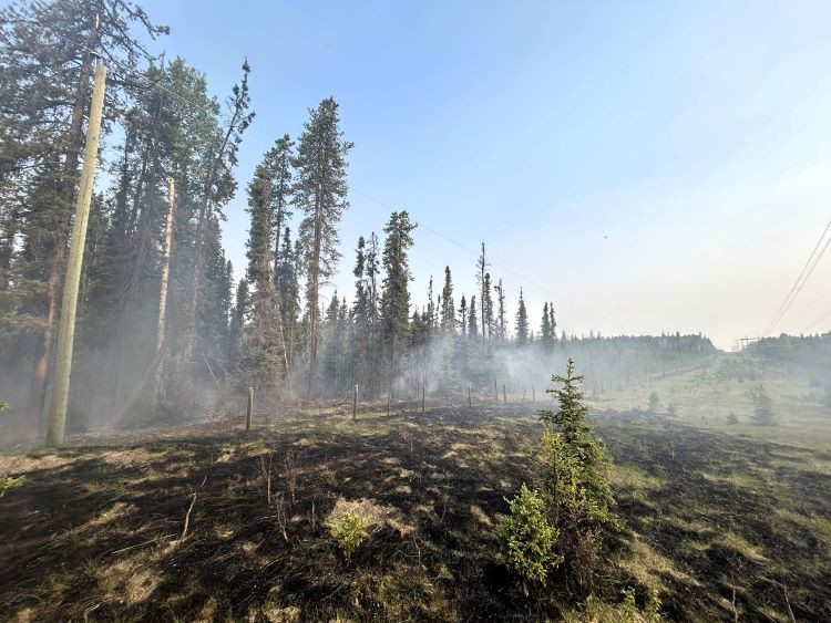 A power pole on the left side with a row of trees in the background. Burnt grass in the centre of the photo with smoke rising.
