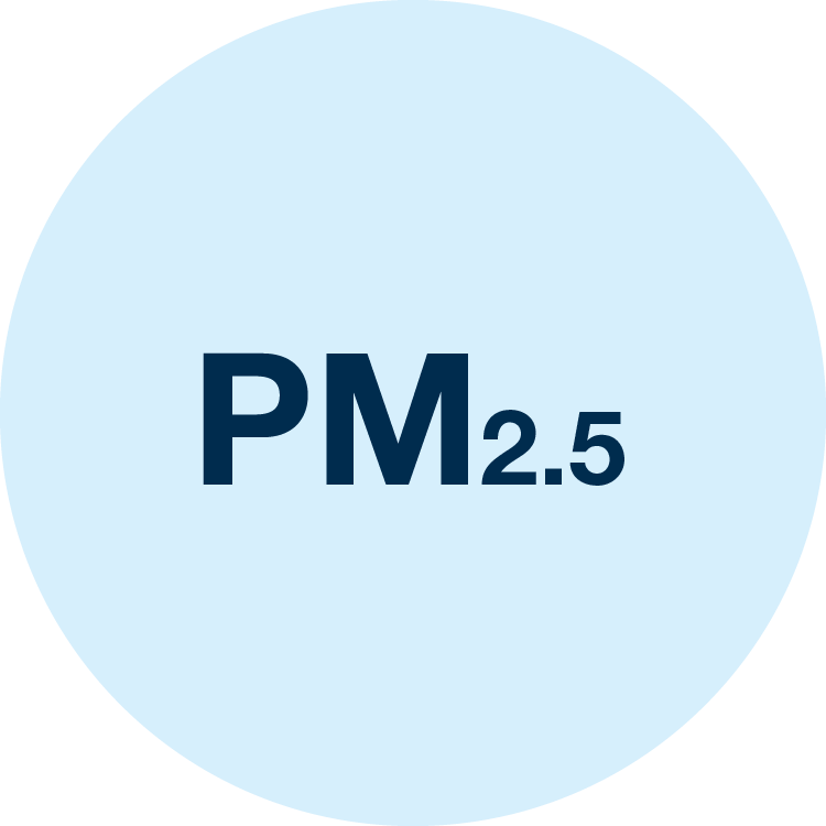  Fine particulate matter icon: PM2.5