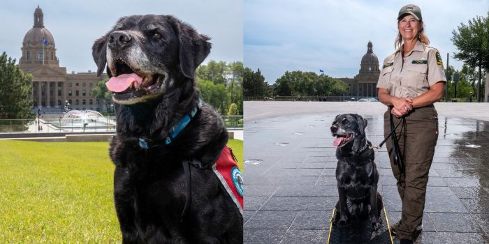 Conservation K-9 dog with his handler by the legislature