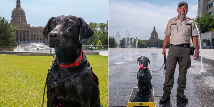 Conservation K-9 Jane and her handler by the legislature