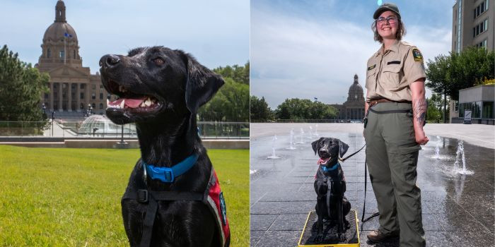 Conservation K-9 Winnie and her handler near the legislature