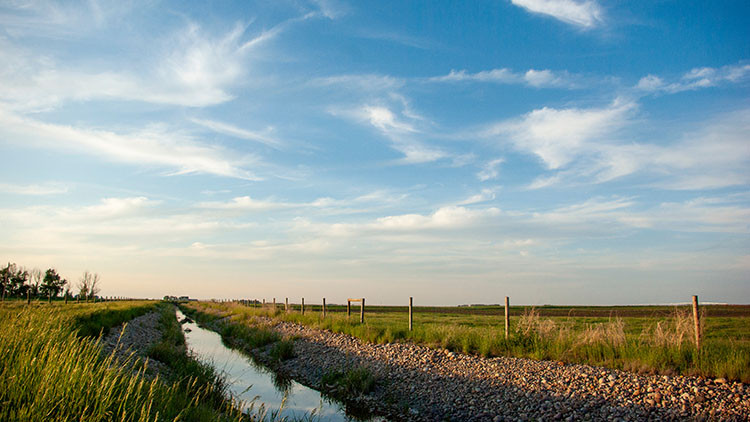 Photo of drought irrigation canal South Alberta