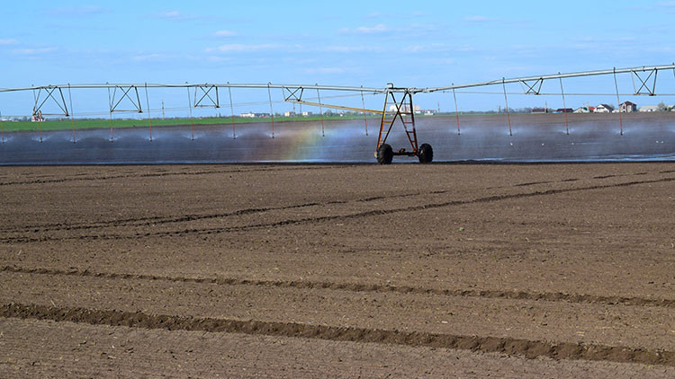 Irrigation machine spraying water in a brown field