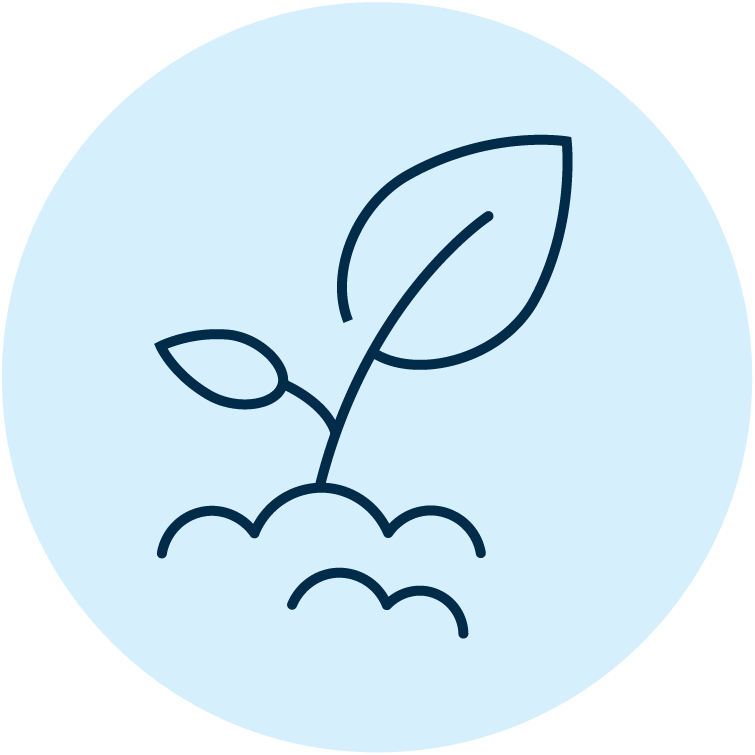Icon showing a seedling pushing out of the soil.