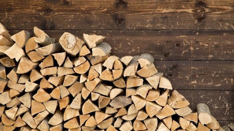 Cut firewood stacked beside a brown wood sided house