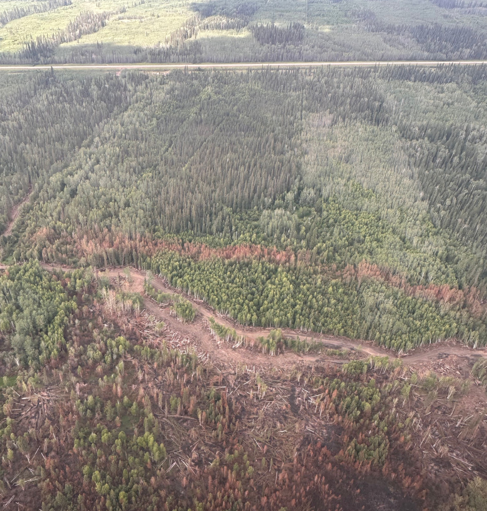 HWF036 containment lines (mid-July 2025)