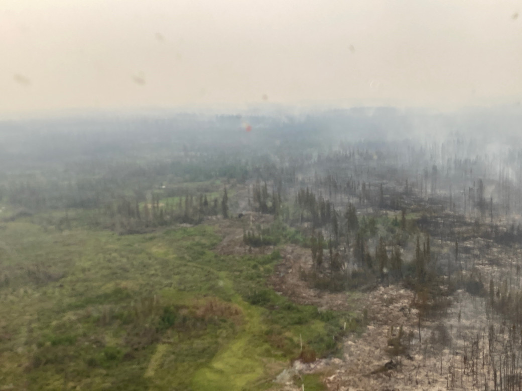 HWF036 where ties into old Basset fire (May 31, 2025)