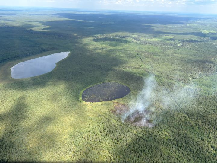 LWF114 near the Winefred River