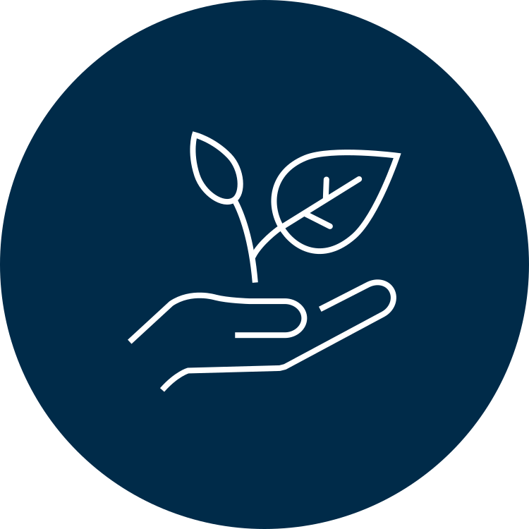 Icon of a hand holding a growing sapling