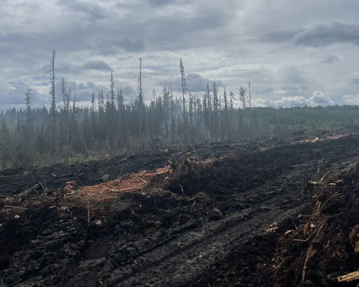 lingering smoke in the burnt areas on WWF041 