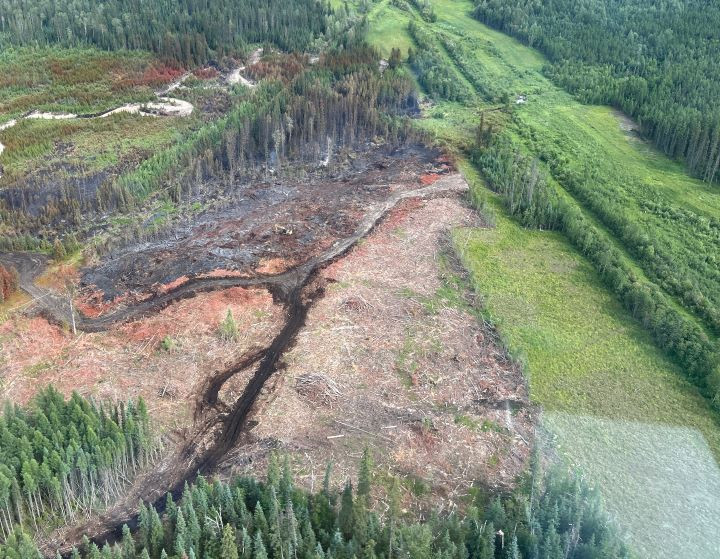 Minimal smoke across burnt areas on WWF041