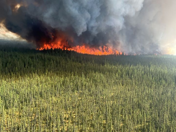 LWF201 August 30th, 2025