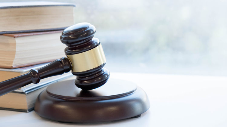 photo of a gavel and block books in background