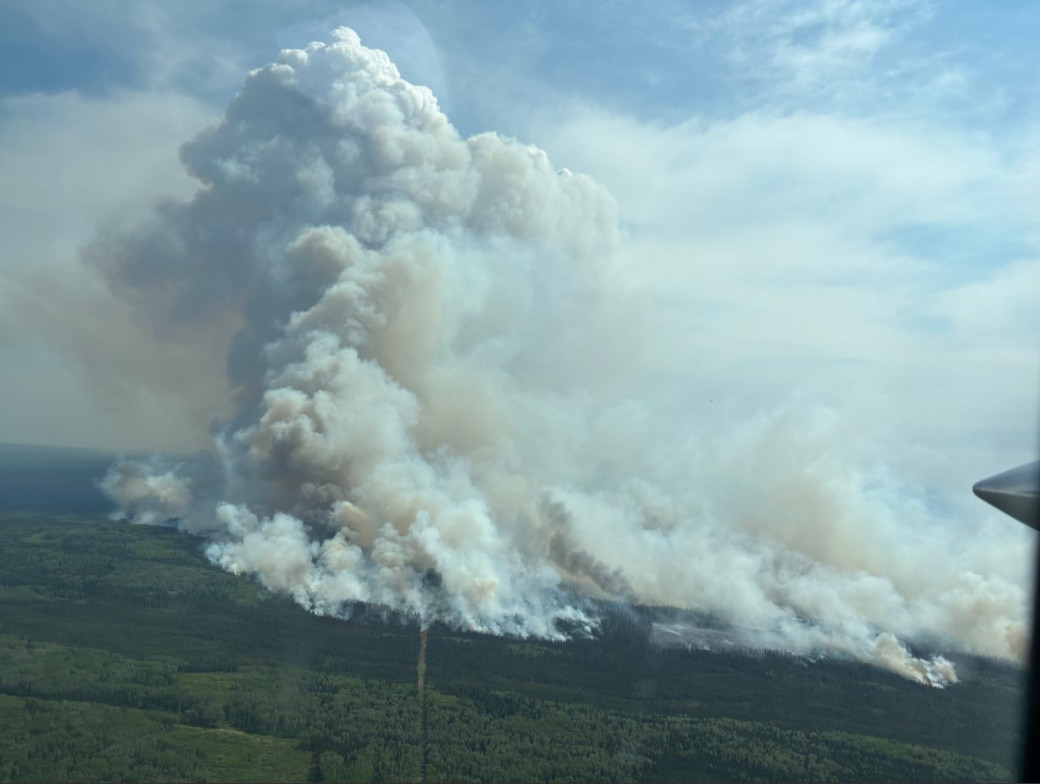 A plume of smoke rises from the trees, during a cloudy day