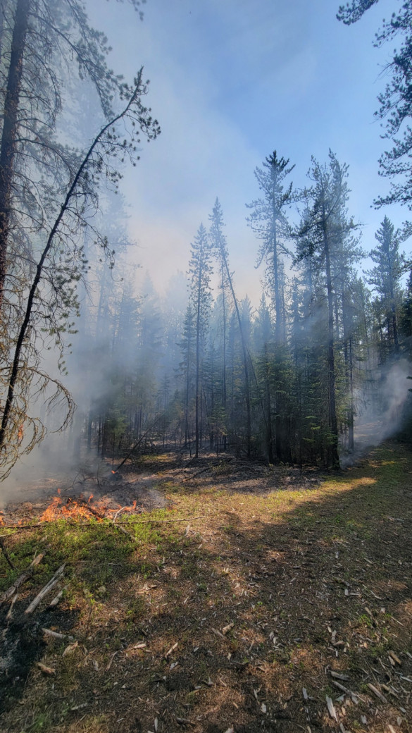 Ground crews continue to action the LWF090 wildfire.