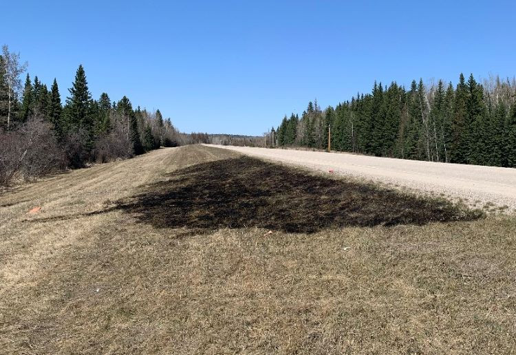 A burned patch of grass next to highway with trees in the background and a clear blue sky.
