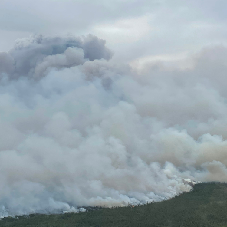 Fire Behavior SWF100