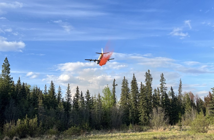 A Electra airtanker flies low over a forest, releasing a large plume of red fire retardant. The sky is mostly clear with scattered clouds, with a dense tree line below consists of tall evergreen and deciduous trees.