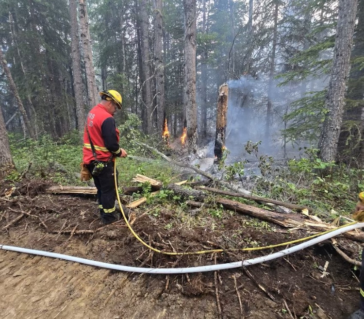 A County of Grande Prairie firefighter in protective gear and a yellow helmet uses a hose to extinguish a small ground fire in a forested area.