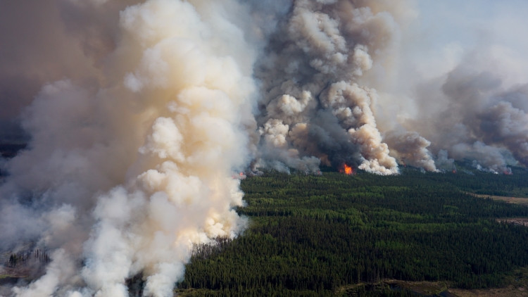 An aerial view of a wildfire in a densely forested area. Light and dark grey plumes billow into the sky. 